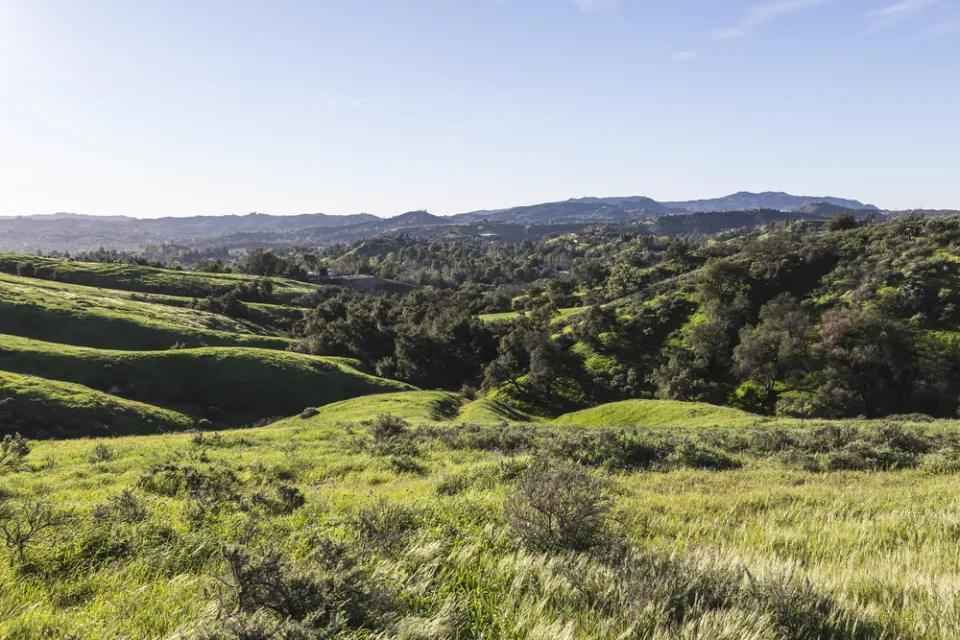 Rolling green hills in San Fernando Valley, Los Angeles